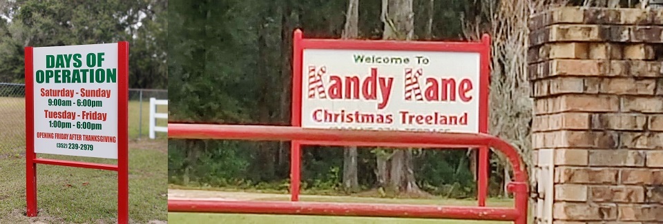 11-20-2021 Kandy Kane Christmas Treeland