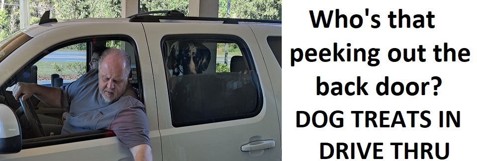 11-24-2021 DOG TREATS IN DRIVE-THRU
