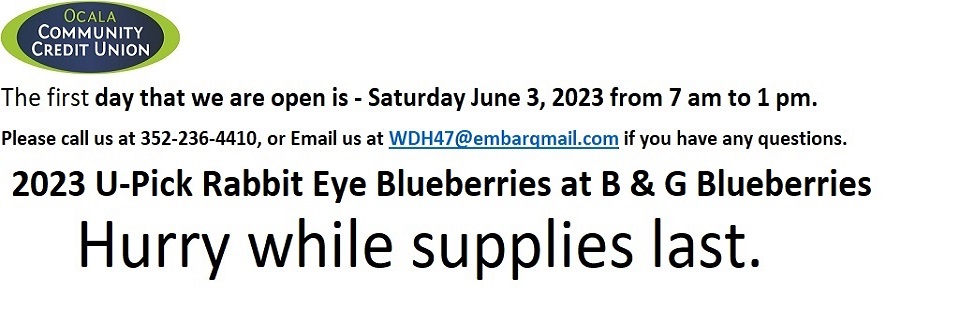 06-01-2023 B&G Blueberries